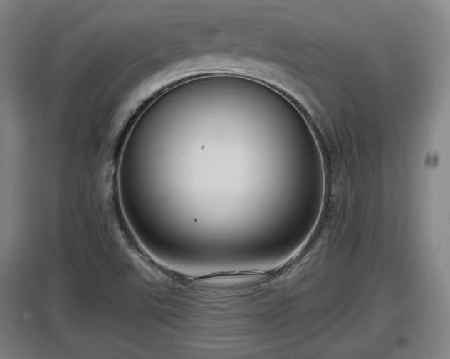 X0000097461507200802291224