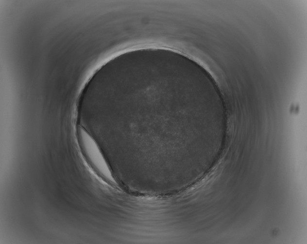X0000097461508200802291224