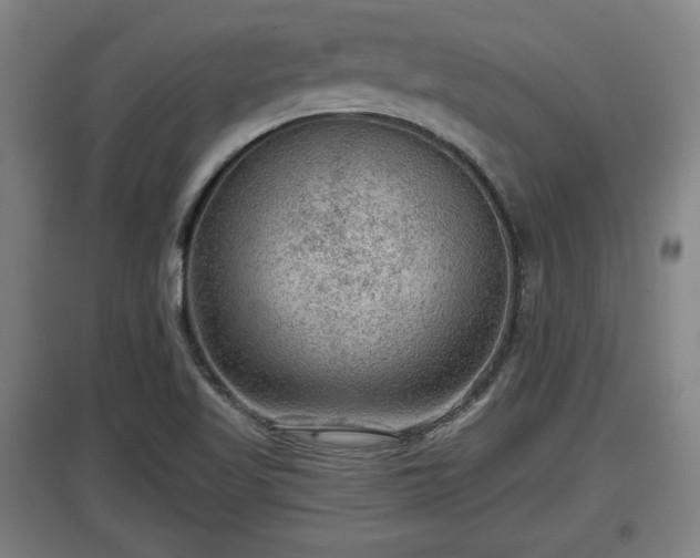 X0000097461509200802291224