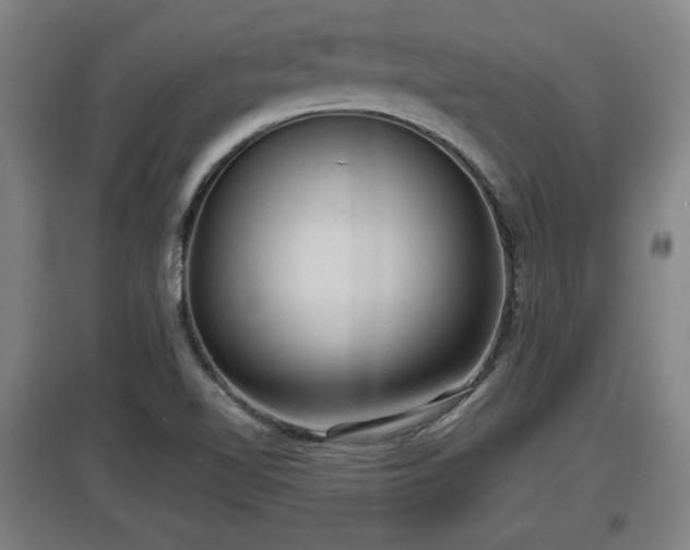 X0000097461510200802291224