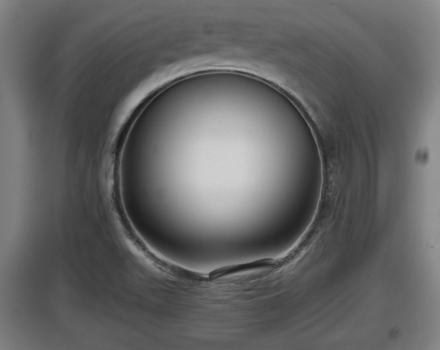 X0000097461511200802291224