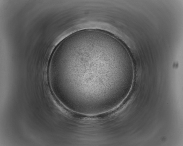 X0000097461513200802291224