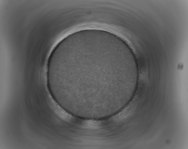 X0000097461514200802291224