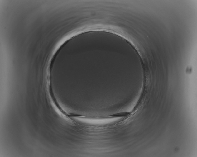 X0000097461515200802291224