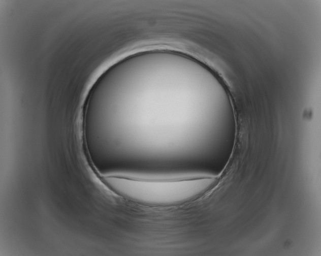 X0000097461516200802291224