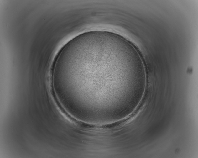 X0000097461517200802291224