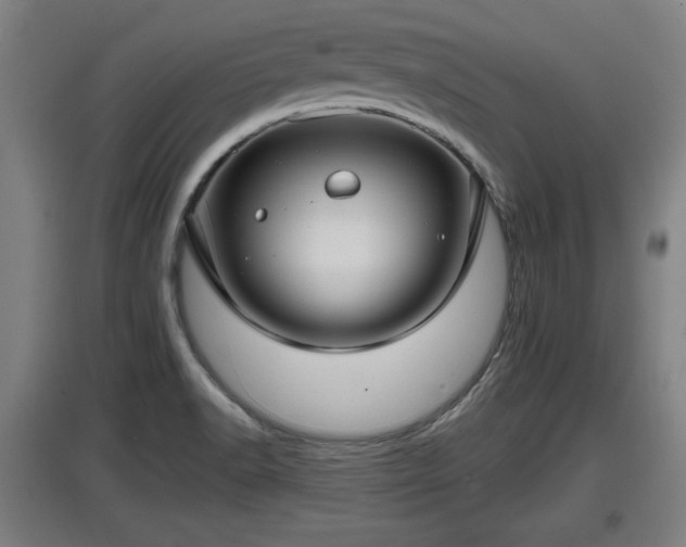 X0000097461518200802291224