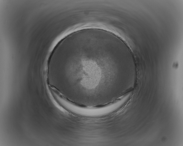 X0000097461519200802291224