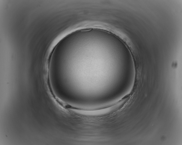 X0000097461520200802291224
