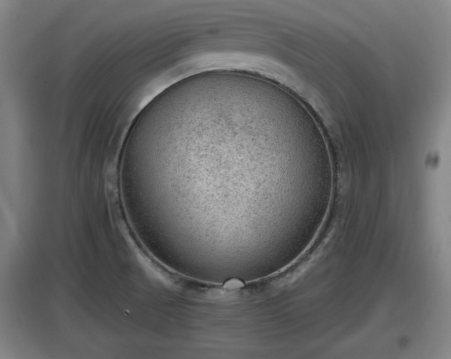 X0000097461521200802291224