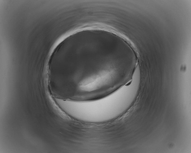X0000097461522200802291224
