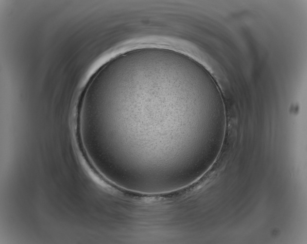 X0000097461523200802291224