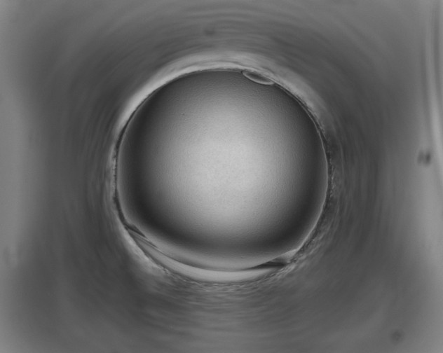 X0000097461524200802291224