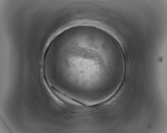 X0000097461525200802291224