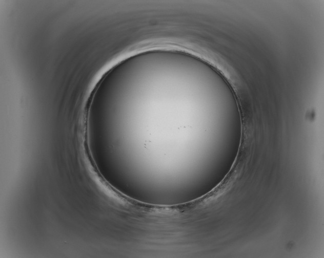 X0000097461526200802291224