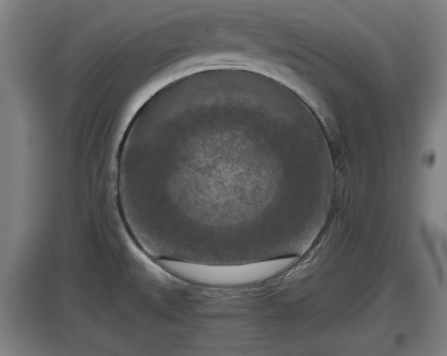 X0000097461527200802291224