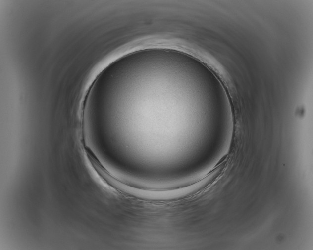 X0000097461528200802291224