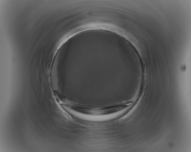 X0000097461529200802291224