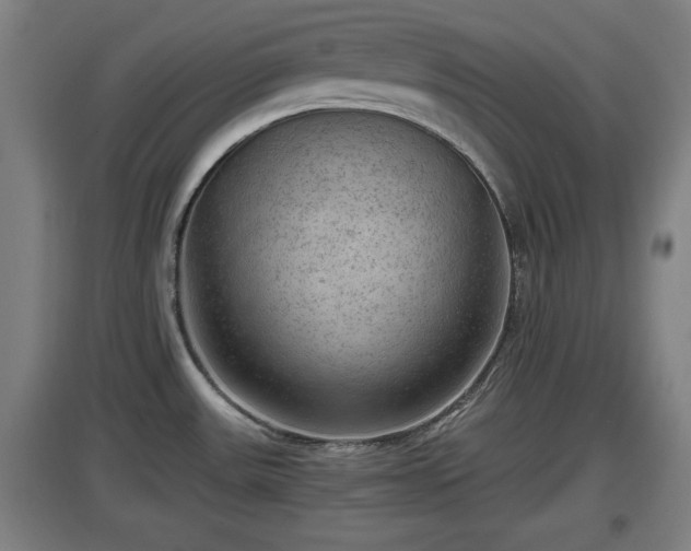X0000097461531200802291224
