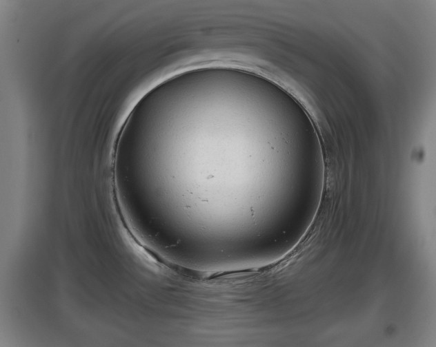 X0000097461532200802291224