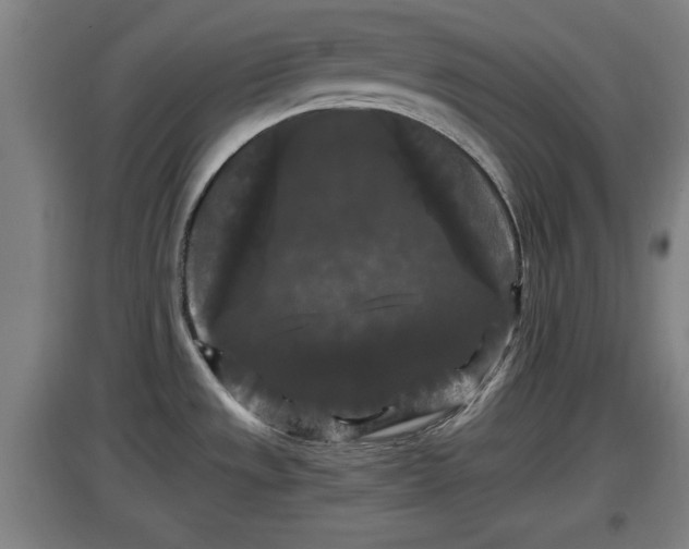 X0000097461533200802291224
