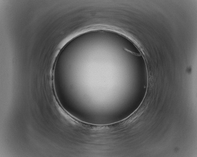 X0000097461535200802291224