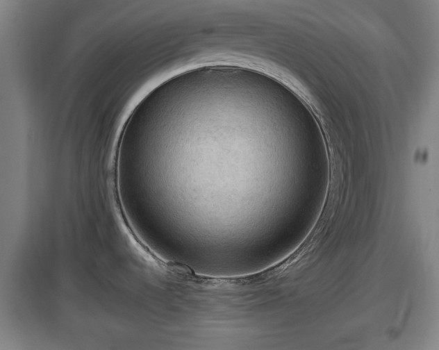 X0000097461536200802291224
