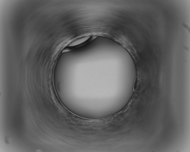 X0000097460001200803071641