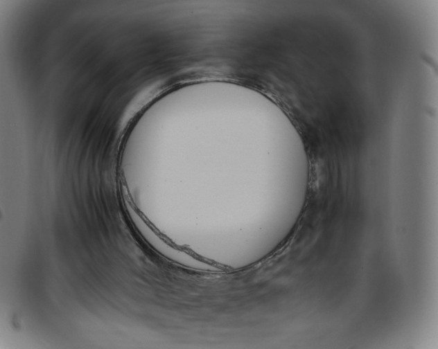 X0000097460004200803071641