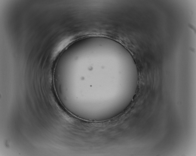 X0000097460005200803071641