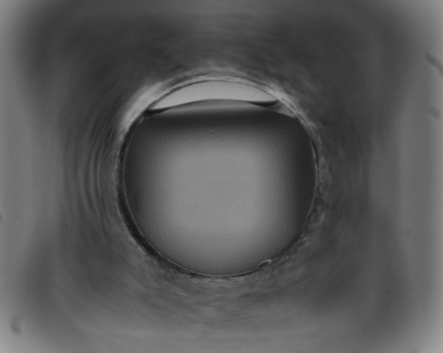 X0000097460007200803071641