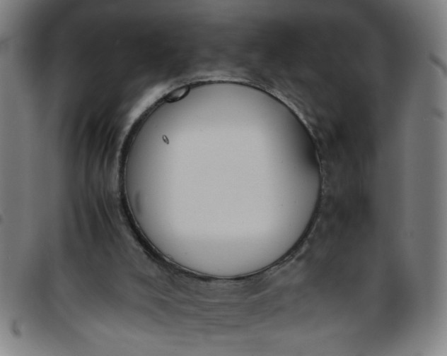 X0000097460008200803071641