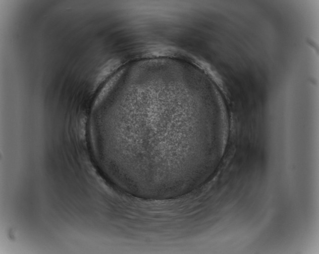 X0000097460010200803071641