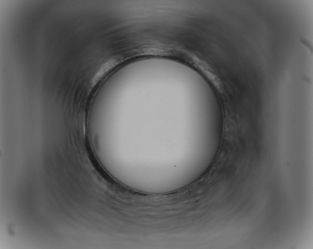 X0000097460011200803071641