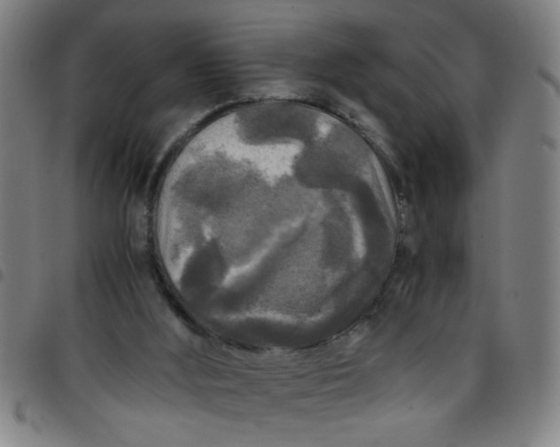 X0000097460012200803071641