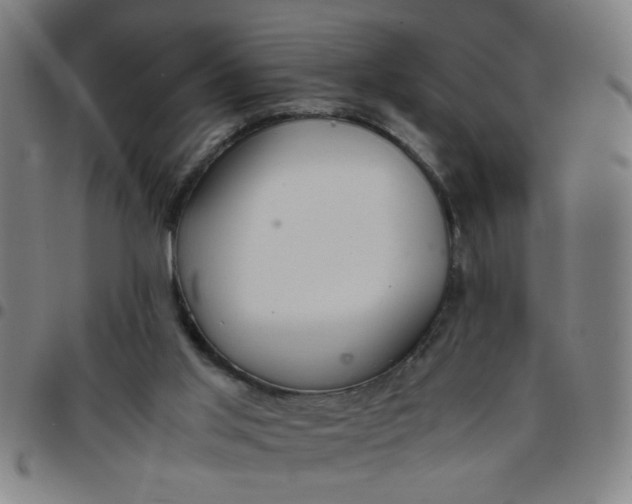 X0000097460013200803071641