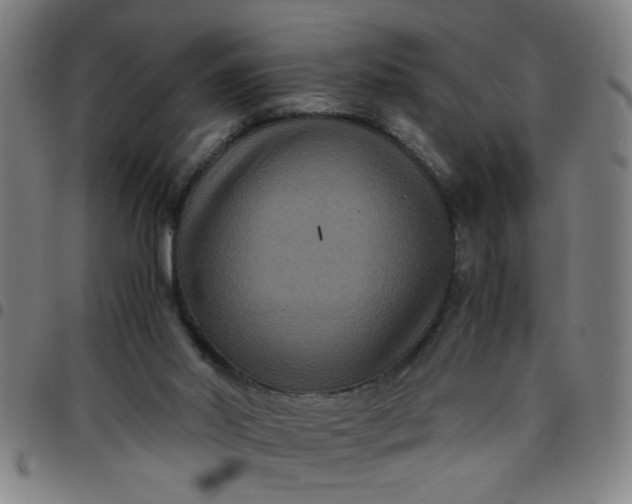 X0000097460014200803071641