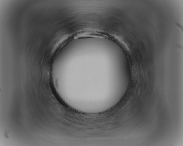 X0000097460015200803071641