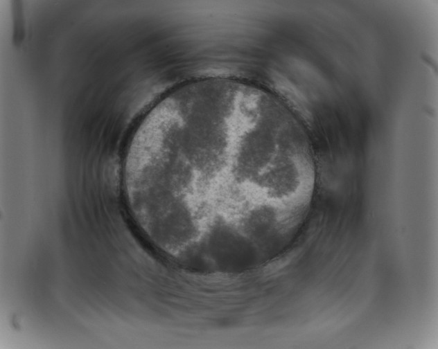 X0000097460016200803071641