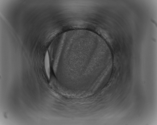 X0000097460017200803071641