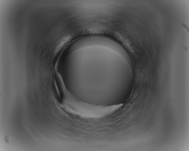 X0000097460019200803071641