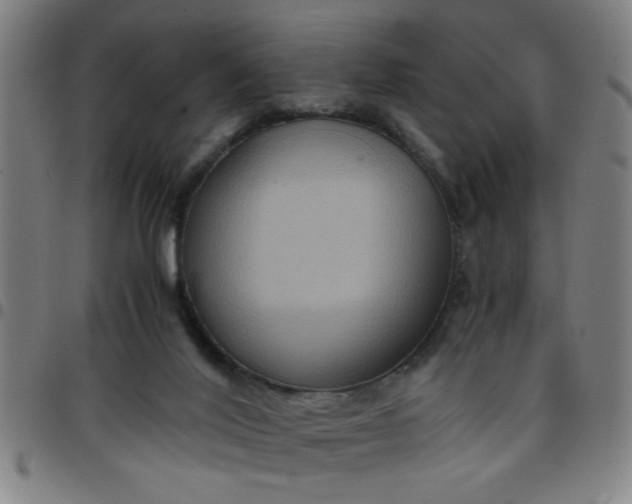 X0000097460020200803071641