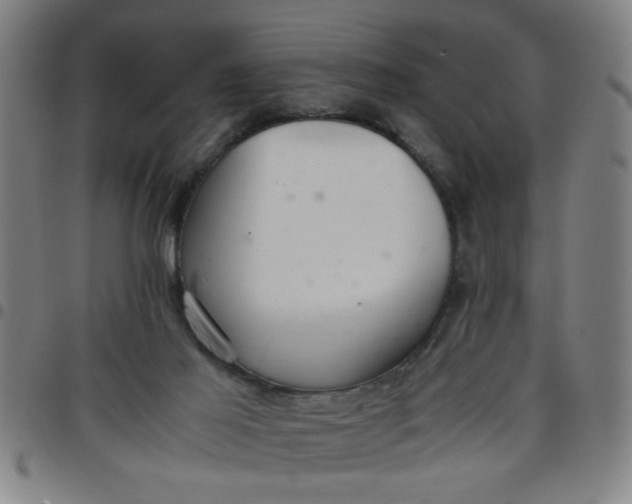 X0000097460021200803071641