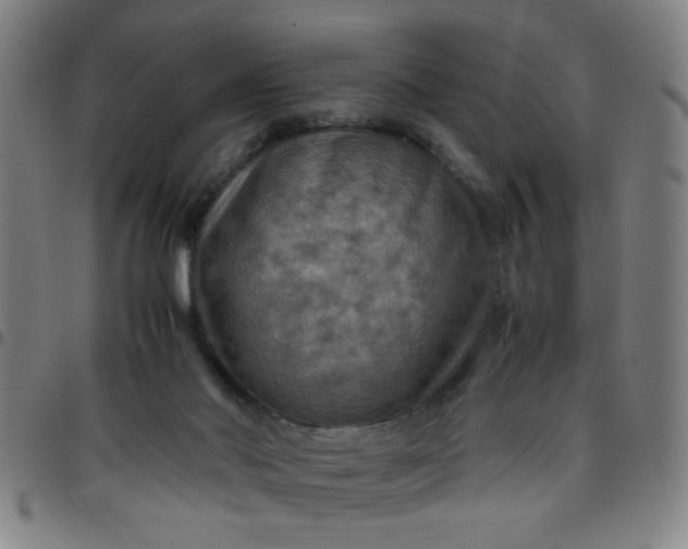 X0000097460022200803071641