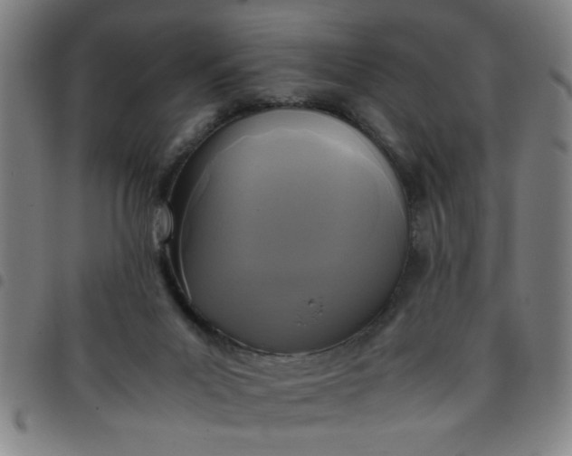 X0000097460023200803071641