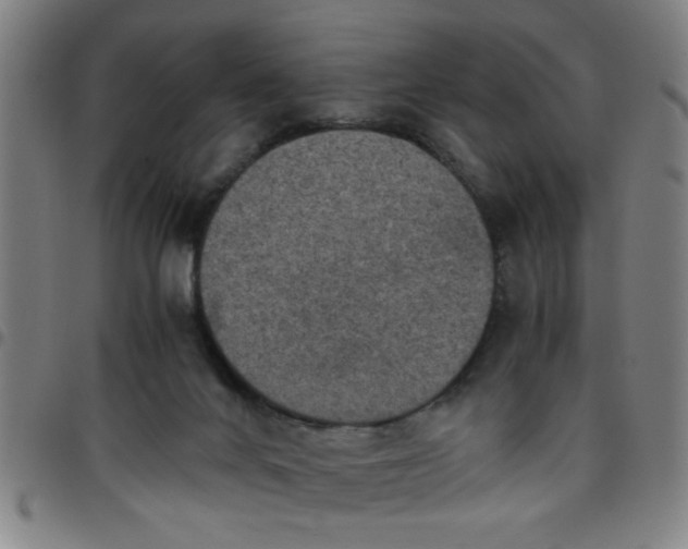 X0000097460024200803071641