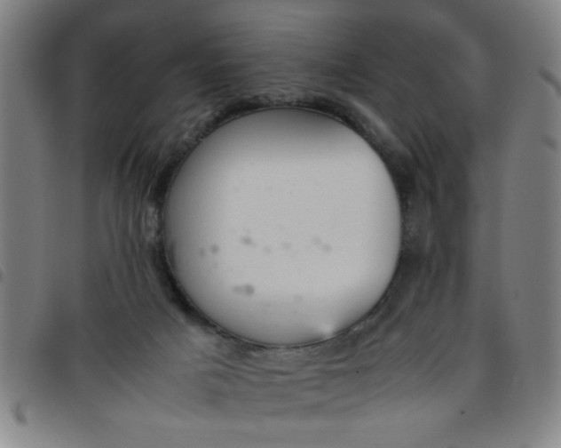 X0000097460025200803071641