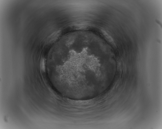 X0000097460026200803071641