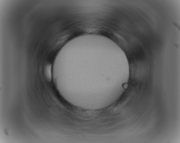 X0000097460028200803071641