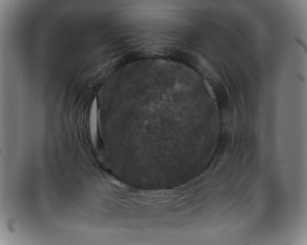 X0000097460029200803071641